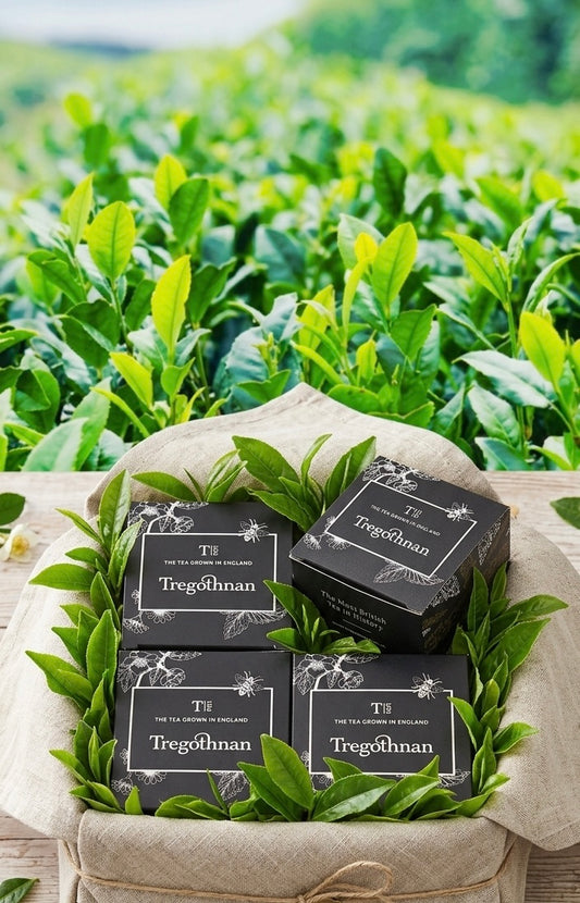 Black Tea Selection Box – A Taste of England